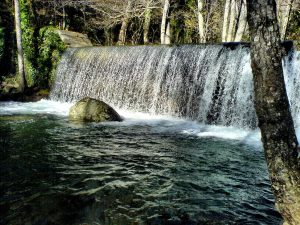 PARCO NAZIONALE POLLINO 3