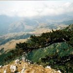 Il Parco Nazionale del Pollino tra flora, fauna e antiche tradizioni [FOTO]