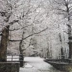 Gelo e neve in Sila, le FOTO dell’inverno calabrese