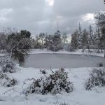 Neve in Algeria, le FOTO da Constantine, Setif e Batna