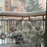 Neve Molise: scenari incantati a Campobasso [FOTO]