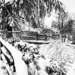 Neve Molise: scenari incantati a Campobasso [FOTO]