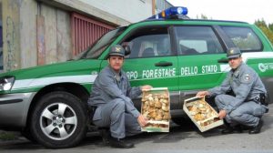 corpo forestale (2)