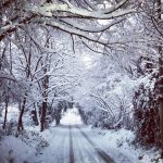 Tantissima neve in Calabria: da Cosenza a Catanzaro, è una magica “notte bianca” [FOTO]