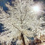 Tantissima neve in Calabria: da Cosenza a Catanzaro, è una magica “notte bianca” [FOTO]