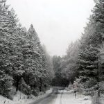 Grande gelo al Sud: -9°C in Sila e sull’Etna, ed è solo l’inizio… [FOTO e DATI]