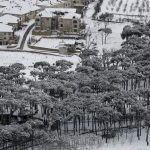 La neve in Arabia Saudita: FOTO dal deserto imbiancato