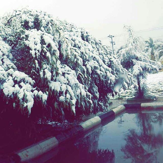 Neve in Arabia Saudita, un evento raro [FOTO]