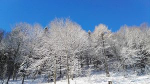 Trentino neve