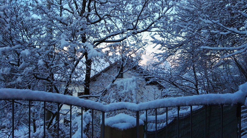 bianco Trentino