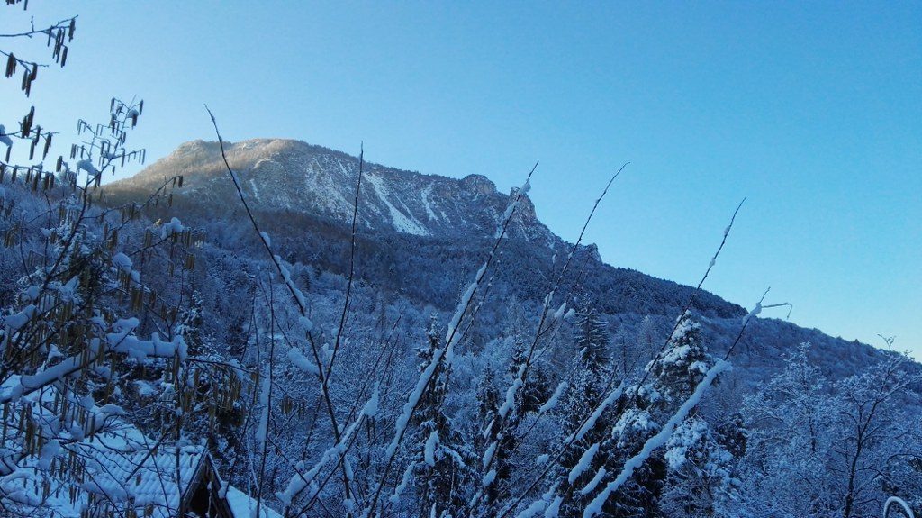 bianco Trentino