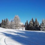 Atmosfere surreali: lo spettacolo della neve in Trentino [FOTO]