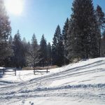 Atmosfere surreali: lo spettacolo della neve in Trentino [FOTO]