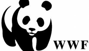 WWF