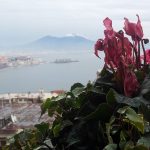 Il Vesuvio si mette il cappello bianco: è tornata la neve [FOTO]