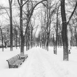 Nevicata record a Mosca, mezzo metro in una notte [FOTO]