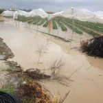 Maltempo, tornado e bombe d’acqua tra Puglia e Basilicata [FOTO]