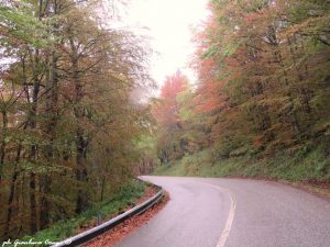 Lo spettrale scenario di Pettinascura (P.N.Sila) - ph G.Congi