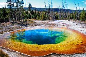 Yellowstone1