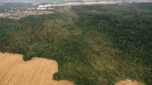 L'immagine aerea del bosco nei dintorni di Minsk abbattuto dalla violenza del "downburst"