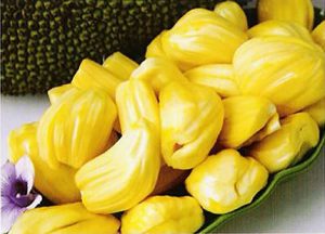 jackfruit pulp