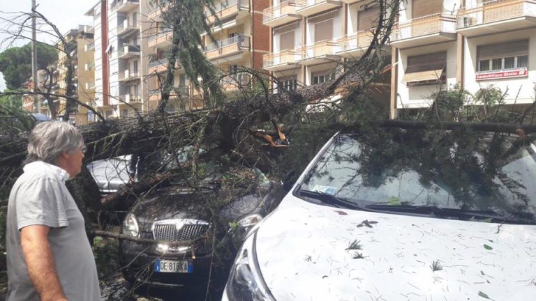 maltempo arezzo tromba d'aria