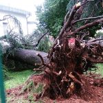 Maltempo, violenti temporali al Nord: Lombardia in ginocchio, gravi danni [GALLERY]