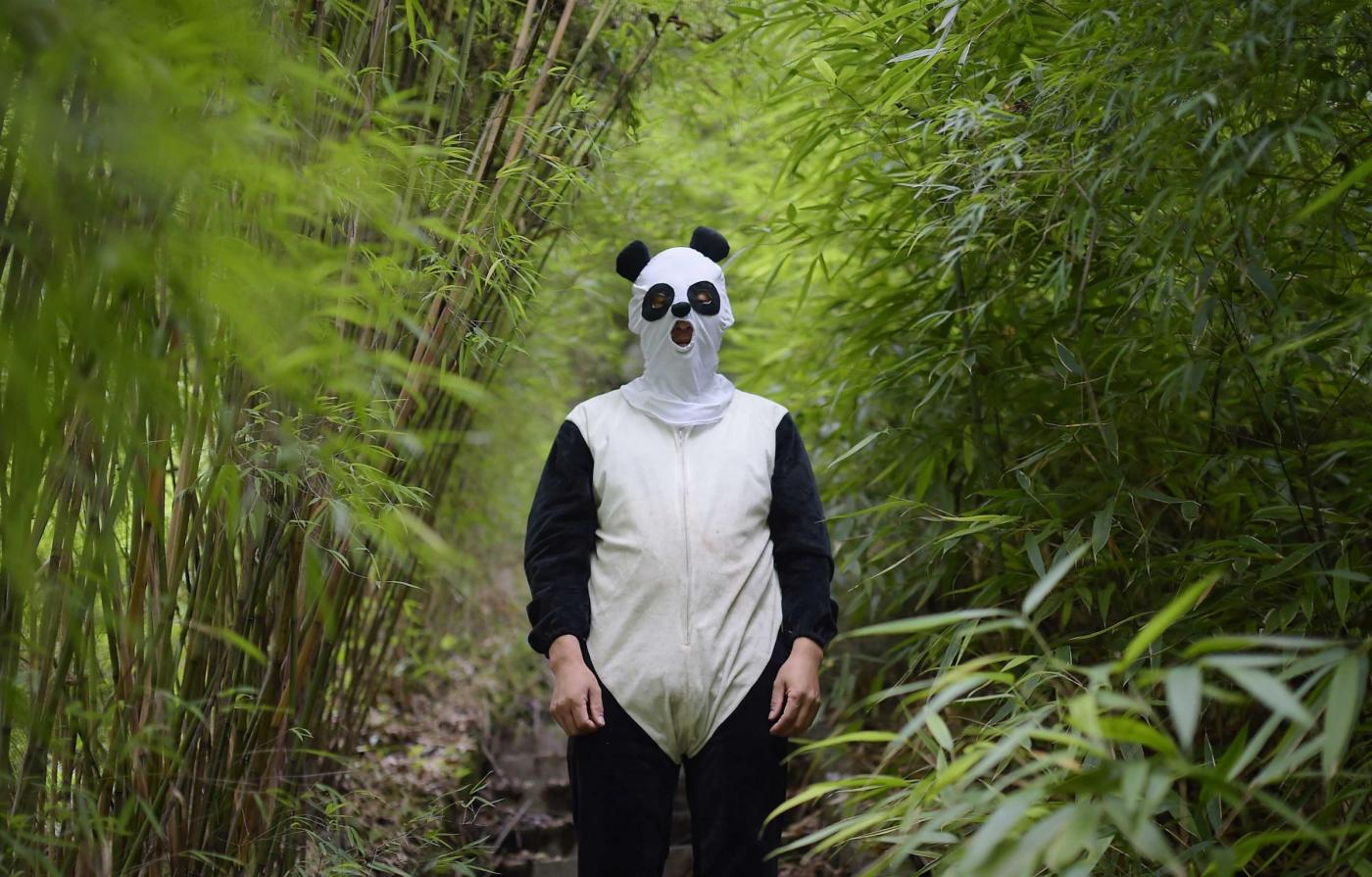 Человек в костюме панды