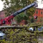 Maltempo Roma: albero cade su pensilina del bus, 4 feriti [GALLERY]