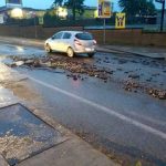 Maltempo Roma: albero cade su pensilina del bus, 4 feriti [GALLERY]