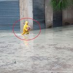 Alluvione Licata, l’eroe col K-Way giallo che ha salvato un cane e commuove il web [FOTO]