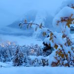 Freddo e maltempo al Nord, sulle Alpi è già inverno: spettacolari nevicate in atto [FOTO LIVE]