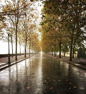 lucca pioggia maltempo temporale autunno