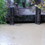 Maltempo, emergenza in Friuli Venezia Giulia: superati i 420mm di pioggia, l’Isonzo fa paura [FOTO e VIDEO LIVE]