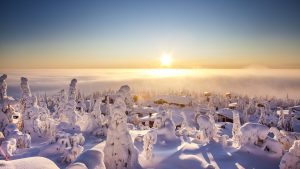 Dream-holiday-to-Lapland