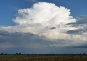 Cumulonembo temporalesco sopra la savana del Botswana 