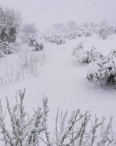 Neve Abruzzo Lanciano