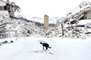 amatrice