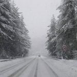 Torna il freddo in Calabria: grandi nevicate in Sila [FOTO e VIDEO]