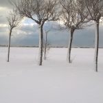 Pescara, tanta neve sulla costa e temperatura minima di -4,2°C in riva al mare. A rischio Pescara-Fiorentina [FOTO]