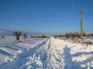 puglia neve murge (9)