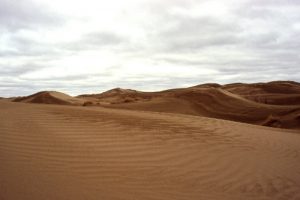 03-07-2005-ID__turkmenistan_1ll_Karakum%20Desert