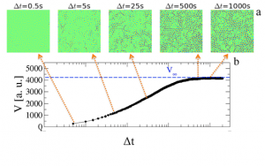 a) Sequenza di differential frame per differenti intervalli di tempo. b) Varianza dell’intensità in funzione del tempo. Al passare del tempo, sempre più particelle si muovono dalla posizione originale producendo un aumento della varianza. A tempi lunghi, il sistema ha completamente rilassato e la varianza raggiunge un plateau