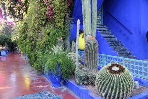 MAJORELLE 8