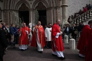 PALME ASSISI