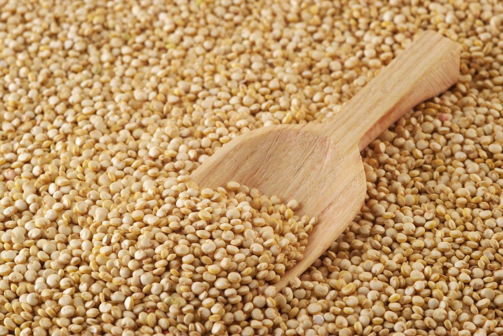 quinoa