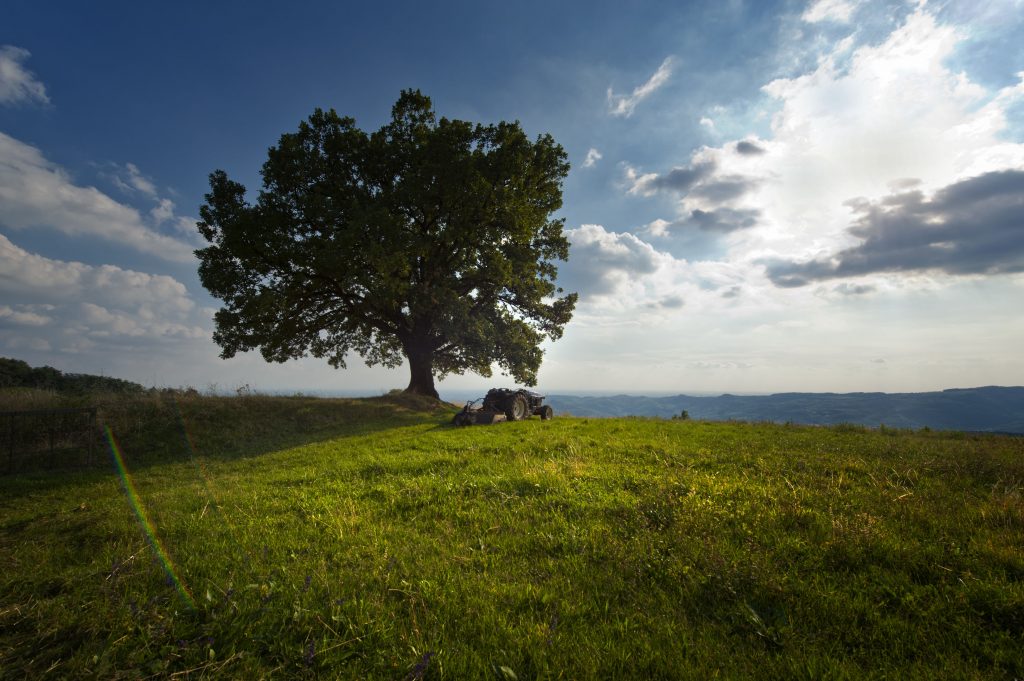 biodiversità