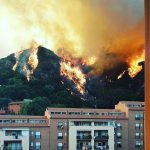 Incendio Messina, situazione drammatica: fiamme tra le case, brucia l’Università. Attivata l’Unità di Crisi – LIVE