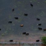 Uragano Harvey, almeno 37 morti in Texas: la tempesta marcia verso Est, ed un’altra minaccia si profila all’orizzonte [GALLERY]