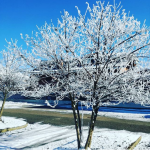 Freddo glaciale al Nord/Ovest, Piemonte e Valle d’Aosta come la Siberia: -15°C in pianura e panorami glaciali [GALLERY]